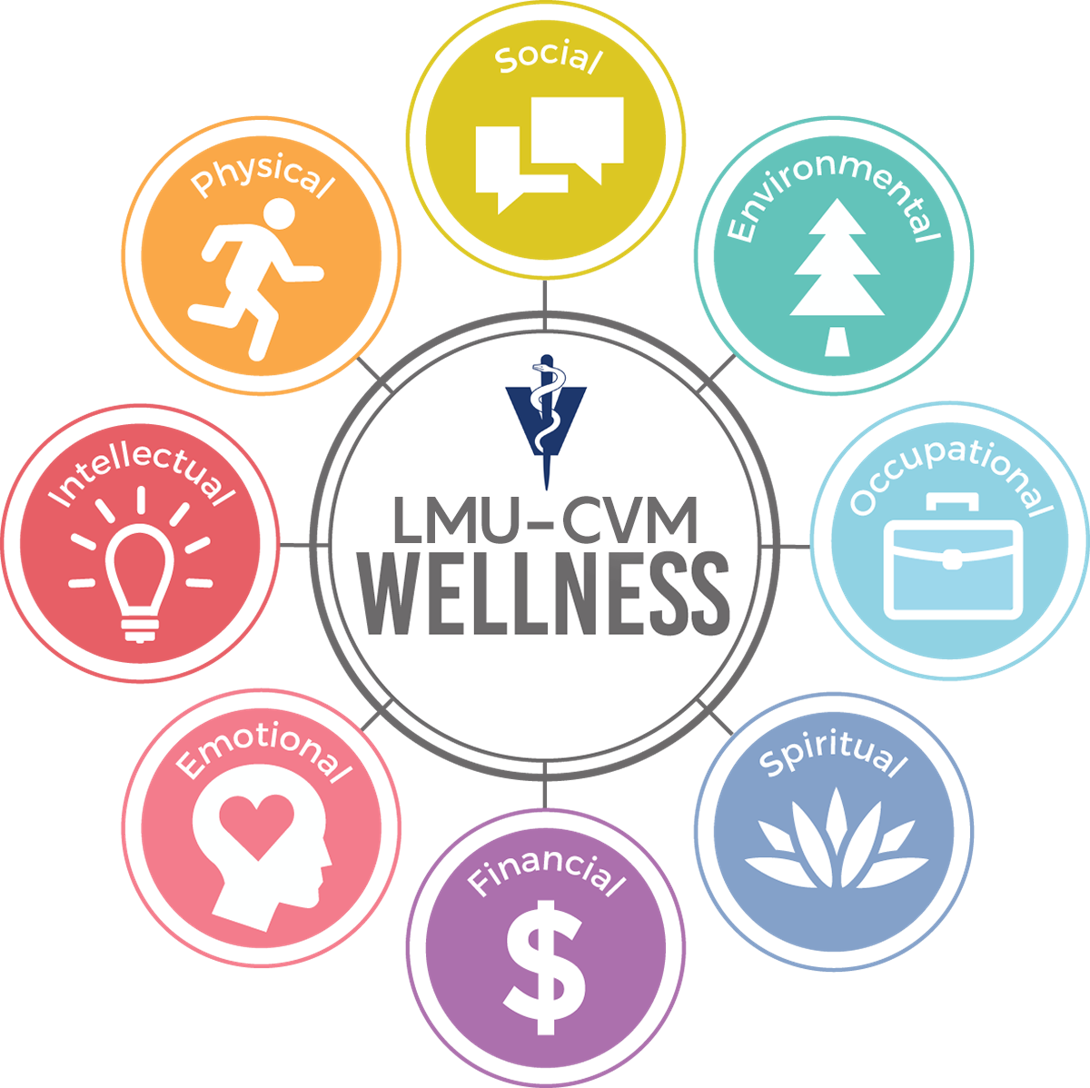 LMU-CVM wellness wheel: social, environmental, occupational, spiritual, financial, emotional, intellectual, physical